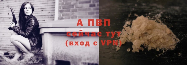 прущие крисы Козловка