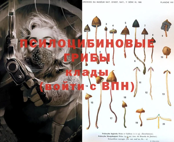 прущие крисы Козловка