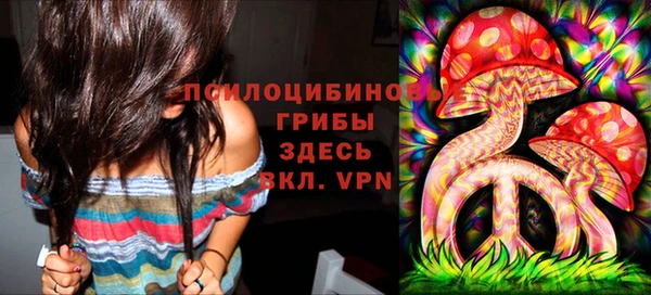 прущие крисы Козловка