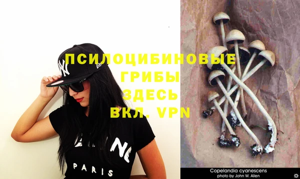 дживик Кодинск
