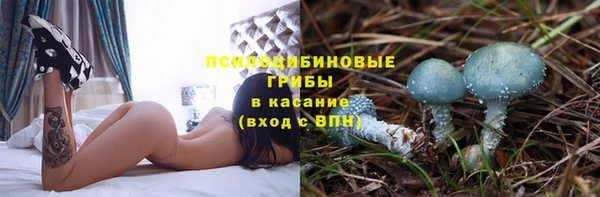 прущие крисы Козловка