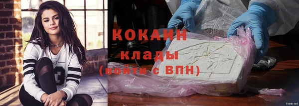 прущие крисы Козловка